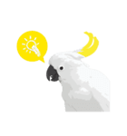 Hello Cockatoo（個別スタンプ：19）