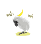 Hello Cockatoo（個別スタンプ：20）