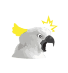 Hello Cockatoo（個別スタンプ：21）