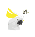 Hello Cockatoo（個別スタンプ：38）