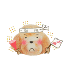 Sunshine Dog -2 Very Useful（個別スタンプ：5）