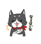 黒犬のジョン【日常Ver.】（個別スタンプ：29）