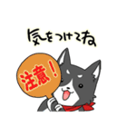 黒犬のジョン【日常Ver.】（個別スタンプ：34）