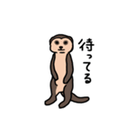 ゆるかわいい動物たち（個別スタンプ：12）