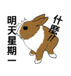 Royal college of rabbit Bunny life（個別スタンプ：8）