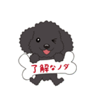 野田さん犬（個別スタンプ：9）