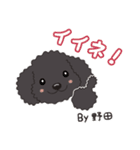 野田さん犬（個別スタンプ：37）