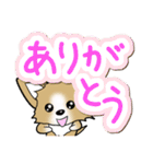 チワワ 犬スタンプ【季節のあいさつ編】（個別スタンプ：5）