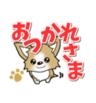 チワワ 犬スタンプ【季節のあいさつ編】（個別スタンプ：15）