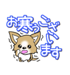 チワワ 犬スタンプ【季節のあいさつ編】（個別スタンプ：19）