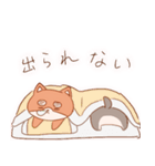 しばスタンプ②（個別スタンプ：12）