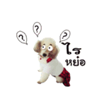 the dog cute（個別スタンプ：18）