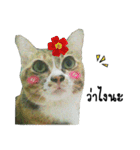 My cat is a funny（個別スタンプ：21）