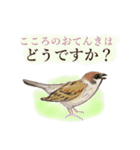 すずめおてんきおねえさん（個別スタンプ：1）