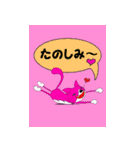 ピラティス大好き猫くん（個別スタンプ：6）