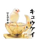 白文鳥のとんちゃん（個別スタンプ：7）