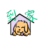 Doggy 2（個別スタンプ：12）