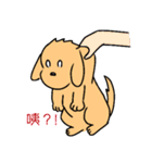 Doggy 2（個別スタンプ：29）