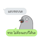 Let's Speak with Pigeon（個別スタンプ：40）