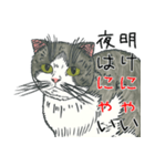 最愛猫（個別スタンプ：18）