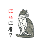 最愛猫（個別スタンプ：22）