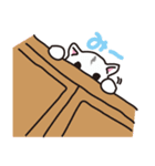 Chaco of the cat（個別スタンプ：8）