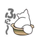 Chaco of the cat（個別スタンプ：16）