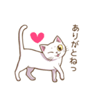 猫のぷーちゃん（個別スタンプ：4）