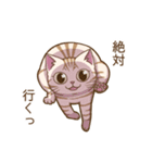 猫のぷーちゃん（個別スタンプ：6）