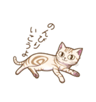 猫のぷーちゃん（個別スタンプ：23）