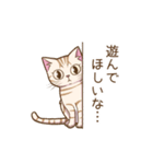 猫のぷーちゃん（個別スタンプ：33）