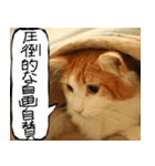 猫が代わりにお伝え その12（個別スタンプ：18）