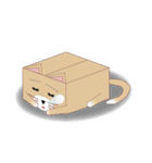 Carton animals-Cats articles（個別スタンプ：2）