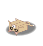 Carton animals-Cats articles（個別スタンプ：17）