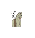 NO HORSES,NO LIFE（個別スタンプ：12）