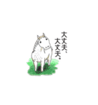 NO HORSES,NO LIFE（個別スタンプ：20）