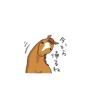 NO HORSES,NO LIFE（個別スタンプ：22）