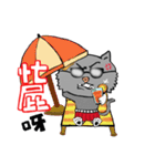 Unsmiling Cat（個別スタンプ：12）
