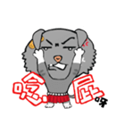 Unsmiling Cat（個別スタンプ：19）