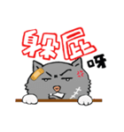 Unsmiling Cat（個別スタンプ：20）