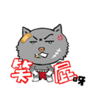 Unsmiling Cat（個別スタンプ：21）