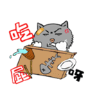 Unsmiling Cat（個別スタンプ：24）