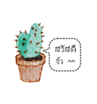 Cactus Story（個別スタンプ：1）