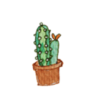 Cactus Story（個別スタンプ：2）