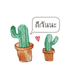 Cactus Story（個別スタンプ：4）