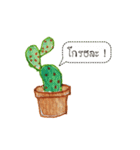 Cactus Story（個別スタンプ：12）