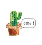 Cactus Story（個別スタンプ：14）