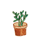 Cactus Story（個別スタンプ：15）