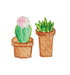 Cactus Story（個別スタンプ：16）