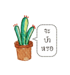 Cactus Story（個別スタンプ：17）